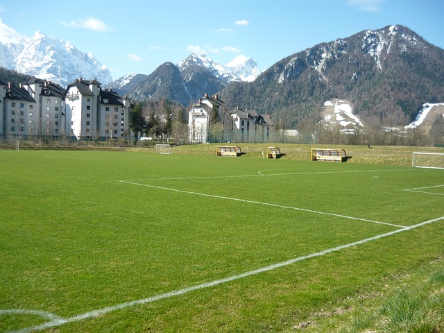 顺序